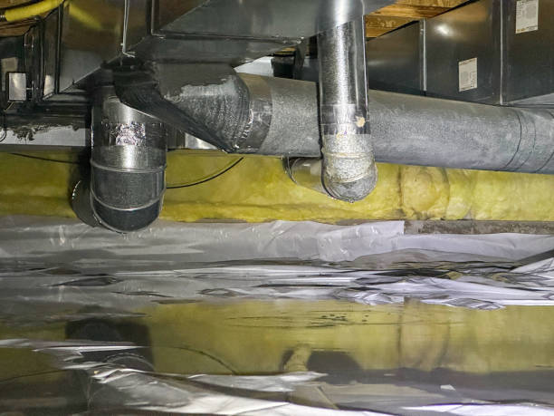 Best Mold removal after water damage  in Wright Patterson Af, OH