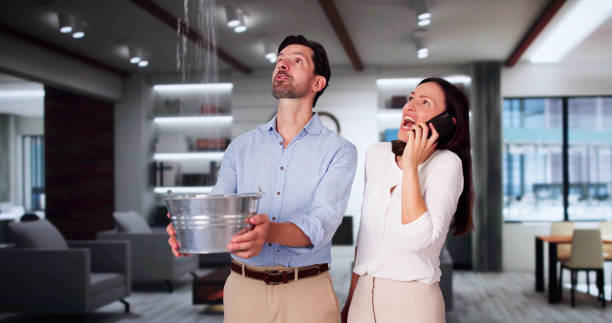 Best Professional water damage repair  in Wright Patterson Af, OH